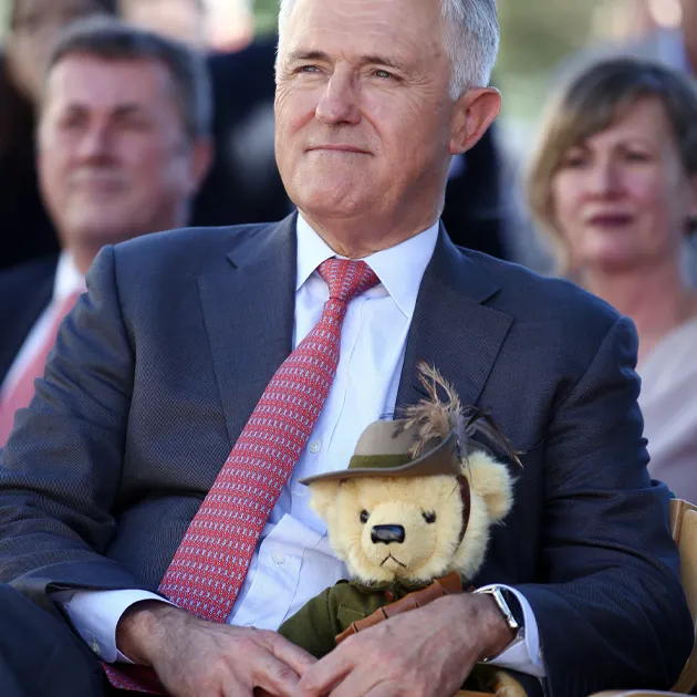 Bears to School Bears to School